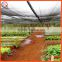 70% -75% UV Treated Agriculture flat shade canpopies net