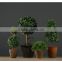 2016 cheap color glazed round ceramic succulent pot for wholesale for business office decor