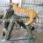 Fiberglass Life size Animal Statue leopard statue