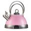3.0L stainless steel whistling kettle with color painting,tea kettle                        
                                                Quality Choice