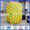 used amusement equipment pineapple ticket cabin