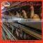 Wholesales Professional Factory Price Poultry Equipment Price