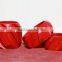 rigid centralizer