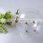 China manufacturer custom design hot sale piggy bank decorative clear borosilicate promotional glass home decoration
