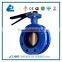 DN150 Butterfly Valve