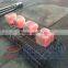 Smokeless good smell coconut charcoal for shisha machine