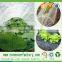 Weed Control Fabric PP Non Woven