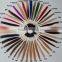 100% Natural Human hair Remy Hair Color Ring Color Chart Color Swatch
