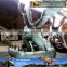 MY Dino-C070 Amusement park large dragon sculptures for sale
