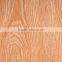 electric window tint/melamine paper/wooden doors design