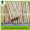 Well straight Varnished eco-friendly wooden broom handle with high quality
