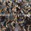 Dried Thai herbal Kaempferia Parviflora Black Ginger Root
