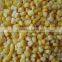 iqf sweet corn kernel