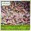 all year supply pholiota nameko frozen