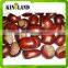 bulk Dried fresh chestnuts