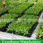 High Quality Tidal Irrigation Seeding Bed