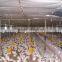 standardized chicken/broiler shed equipment producers