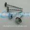 plastic cap roofing nail(china exporters)