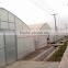 Agricultural Used Greenhouse Equipment For Sale