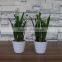 Artificial white narcissus flower bonsai