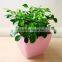 square plastic light color flower pot