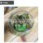artificial table decoration small plants preserved plant for office decoration artificial mini bonsai decoration