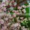 home decoration flower accessories artificial cherry blossom branches wholesale blossom