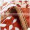 china supplier promotional coral fleece blanket