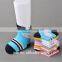 Premier Mill New 2015 Plain Combed Cotton Baby Blue Socks