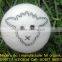 Nepal no.1 organic felt dryer ball manufacturer/Hand made felting natural dryer ball/Wool made in Nepal dryer balls