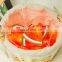 Hot Sale High Quality Waterproof Summer Watermelon String Light For Diwali Home Living Room Bedroom Garden Decoration