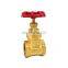 dn15 gas brass gate valve