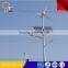400W Wind Turbine Wind Solar Street Light Hybrid                        
                                                Quality Choice