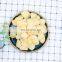 2022 A grade Fresh Natural Garlic granules