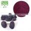 Black Currant Extract Black Currant Fruit Powder