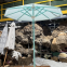 Modern Fashion Design Waterproof Sunshade Tassel Umbrella Wholesale Decorative Garden Umbrella Outdoor Umbrella