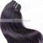 100%brazilian cheap virgin human virgin hair bulk