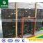 China Black Marble Tile Silver Dragon Marble