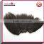 fashion hair top grade 7a virgin human malaysian kinky straight hair weave