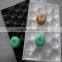  Gold Supplier Plastic Vegetable & fruit Serving Tray