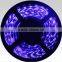 cristmas led tape gh Quality 3528 Led Strip Light gh Quality 3528 Led Strip Light gh Quality 3528 Led Strip Light