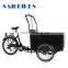 cargo electric bike for children