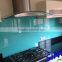 competive colorful quality low price back Painted Glass/Decorative Glass