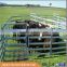 Australia hot dipped galvanized cattle pens In Farm (Factory Trade Assurance)