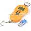 High Precision Mini Electronic Pocket Small Scales