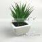 Popular Sale Vivid Look Artificial Cactus Succulents Plant Bonsai for Table Centerpieces