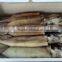 Frozen Squid Illex Whole Round