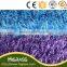 Wholeselling Color Grass for Garden/Landscaping,