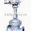 Solenoid Gate Valve