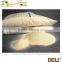 Fitness Ideal Raw Rice Protein powder
